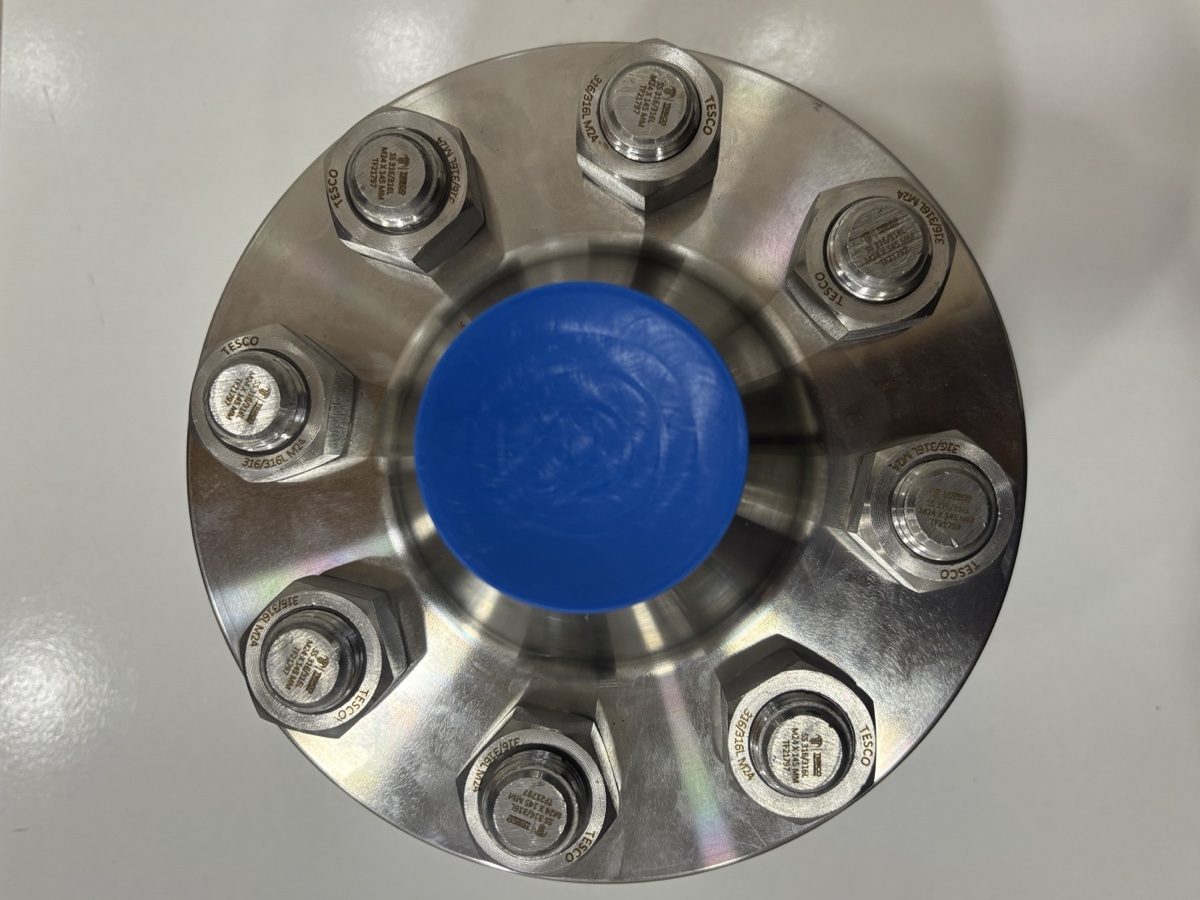 Tesco 316/316L weld neck flange assembly with Tesco-marked M24 stainless steel stud bolts, top view